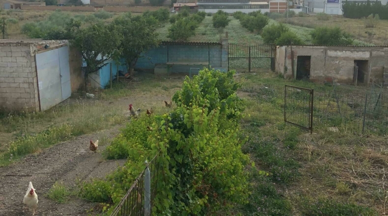 Zaragoza - Cariñena - 5500m2