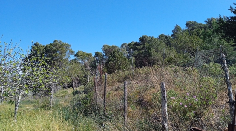 Islas Baleares - Ibiza - 50000m2