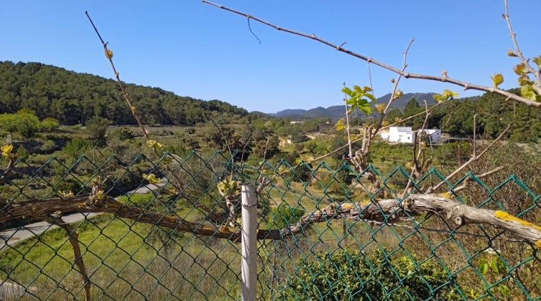 Islas Baleares - Ibiza - 50000m2