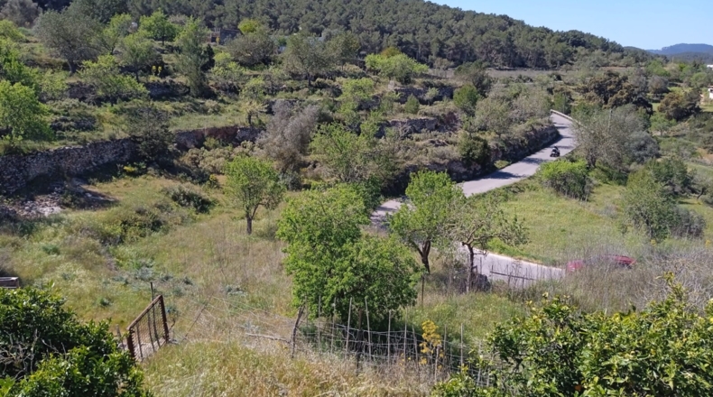 Islas Baleares - Ibiza - 50000m2