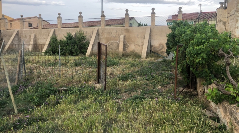 Zaragoza - Cariñena - 5500m2