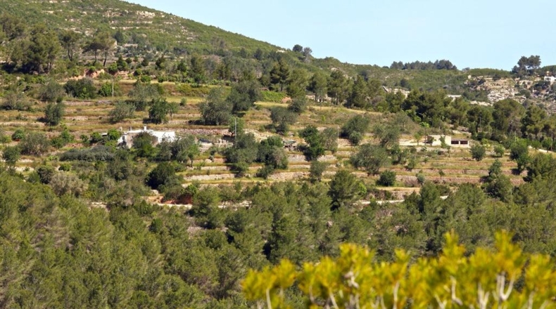 Islas Baleares - Ibiza - 24000m2