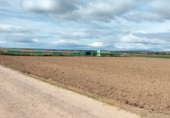 Non-developable land for sale on Camino del soto, Valdetorres de Jarama, ref: TR73208 photo
