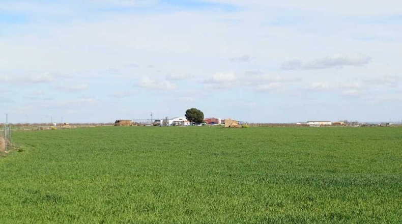 Ciudad Real - Manzanares - 520000m2