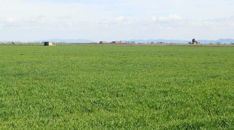 Ciudad Real - Manzanares - 520000m2