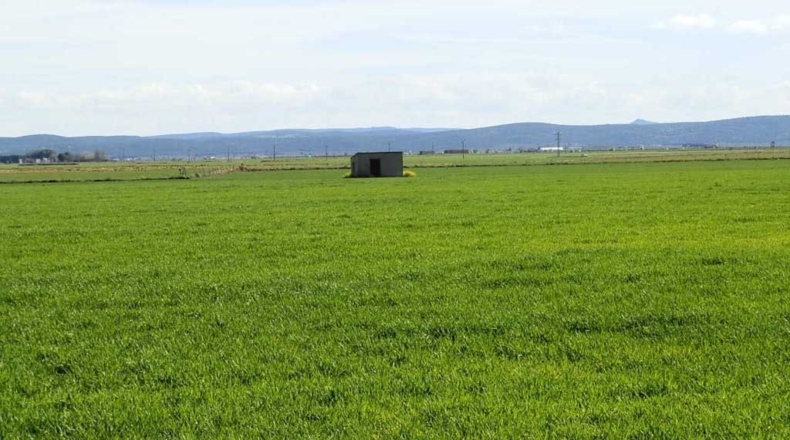 Ciudad Real - Manzanares - 520000m2