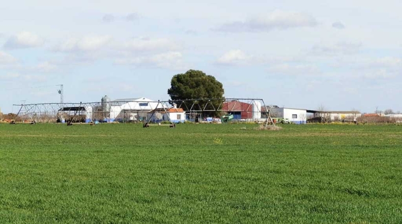 Ciudad Real - Manzanares - 520000m2