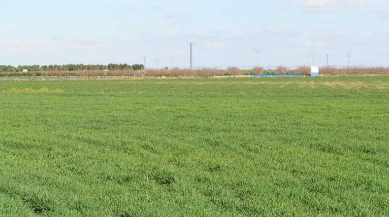 Ciudad Real - Manzanares - 520000m2