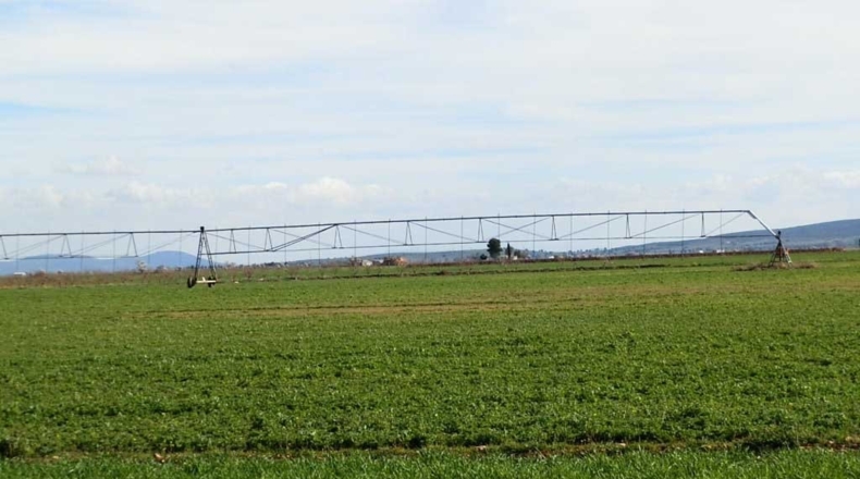 Ciudad Real - Manzanares - 520000m2