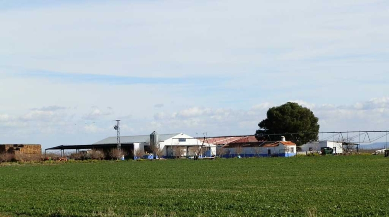 Ciudad Real - Manzanares - 520000m2