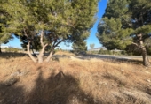 Sòl urbà en venda a la Carrer Àgata, l'Alfàs del Pi, ref.: TR73216 foto