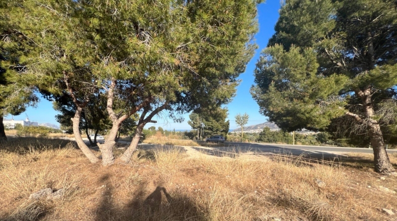 Alicante - Alfaz del Pi - 4344m2