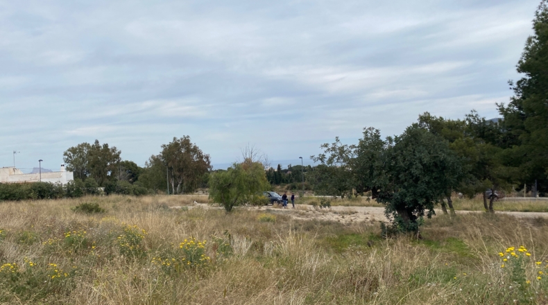Alicante - Alfaz del Pi - 4344m2