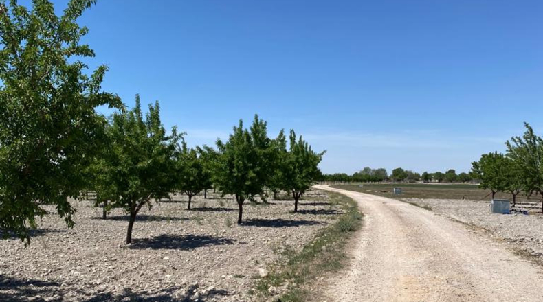 Ciudad Real - Argamasilla de Alba - 40272m2