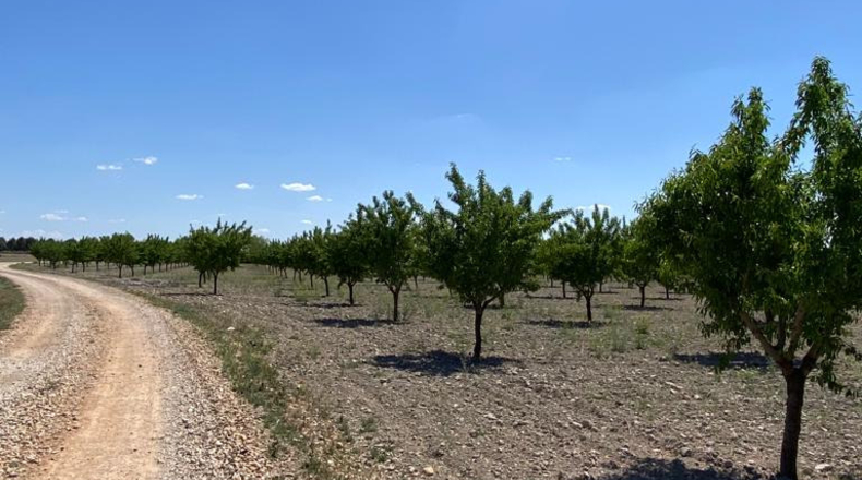 Ciudad Real - Argamasilla de Alba - 40272m2