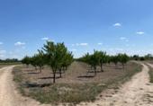 Земля на продажу у города Argamasilla de Alba Фото