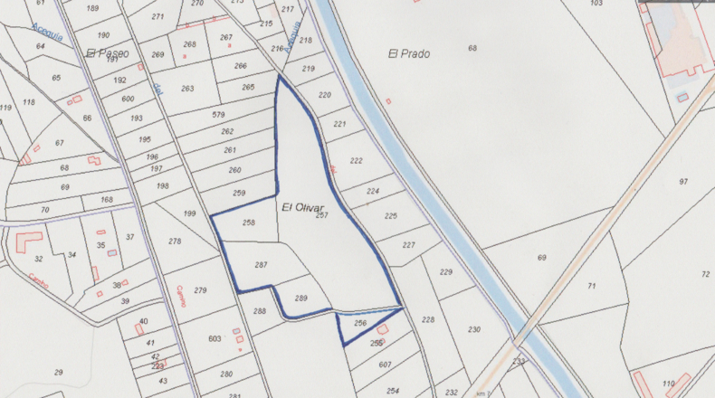 Ciudad Real - Argamasilla de Alba - 40272m2