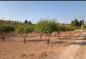 Land suitable for development for sale on CM-412, Montealegre del Castillo, ref: TR73221 photo