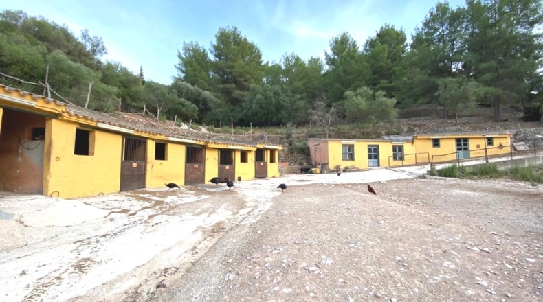 Islas Baleares - Esporlas - 500m2