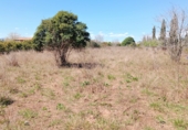 Terreno no urbanizable en venta en la Entrador 19, Castellón de la Plana, ref: TR73239 foto