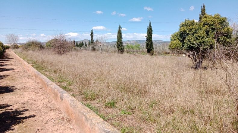Castellón - Castelló de la Plana - 2400m2