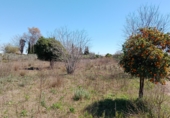 Terreno no urbanizable en venta en la Entrador 19, Castellón de la Plana, ref: TR73239 foto