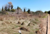 Terreno no urbanizable en venta en la Entrador 19, Castellón de la Plana, ref: TR73239 foto