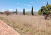 Terreny no urbanitzable en venda a la Camí Fondo, Castelló de la Plana, ref.: TR73238 foto
