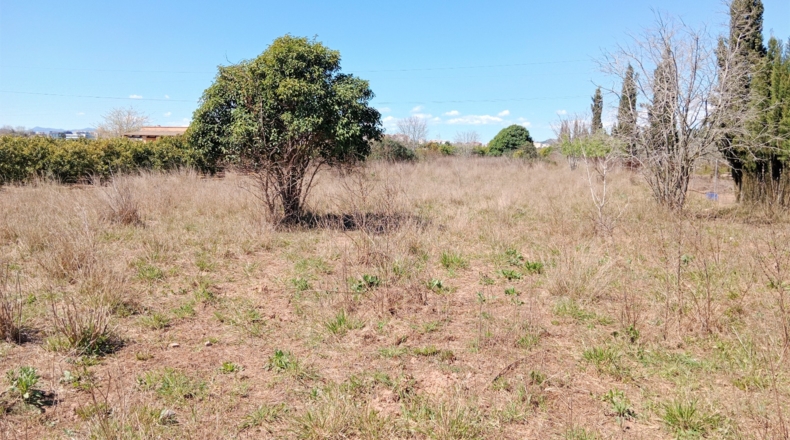 Castellón - Castelló de la Plana - 2500m2