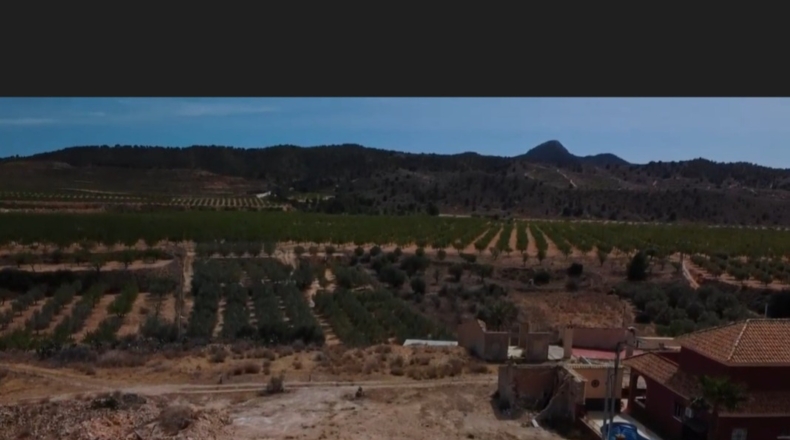 Murcia - El Chicamo - 1000m2