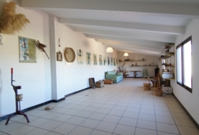 Foto 8