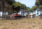 Sòl urbà en venda a la AVENIDA SAN PASCUAL BAILON, Montfort, ref.: TR73258 foto