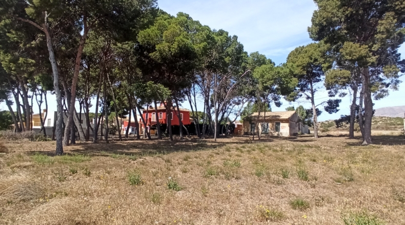 Alicante - Monforte del Cid - 1947m2