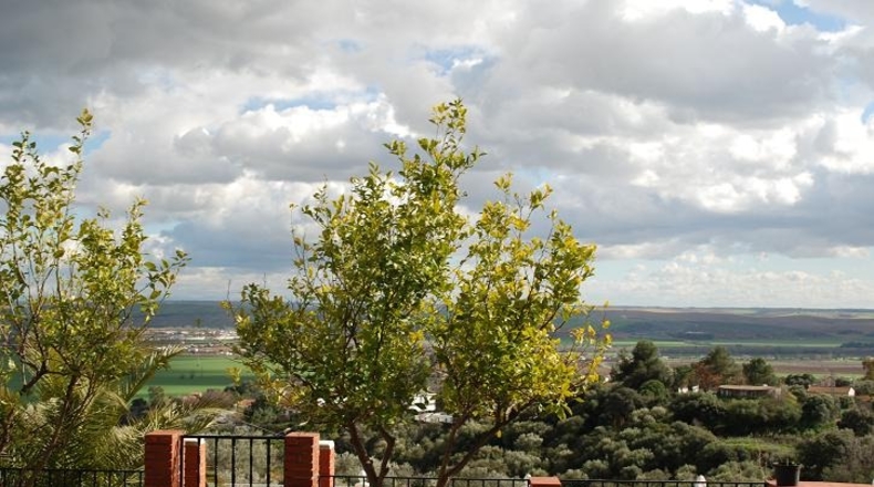 Córdoba - Almodóvar del Río - 13000m2