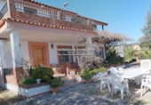 Casa de camp amb terreny en venda a la Cuevas bajas parcela 42, Almodóvar del Río, ref.: TR73256 foto