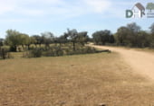 Non-developable land for sale on SA-605, Salamanca, ref: TR73360 photo