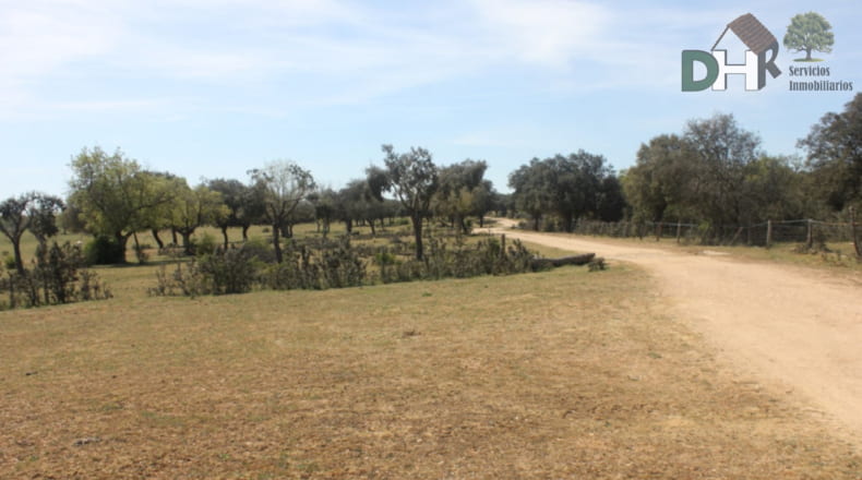 Salamanca - Salamanca - 1400000m2
