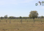 Non-developable land for sale on SA-605, Salamanca, ref: TR73360 photo
