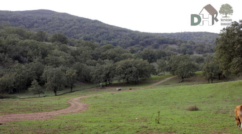 Cáceres - Cáceres - 8220000m2