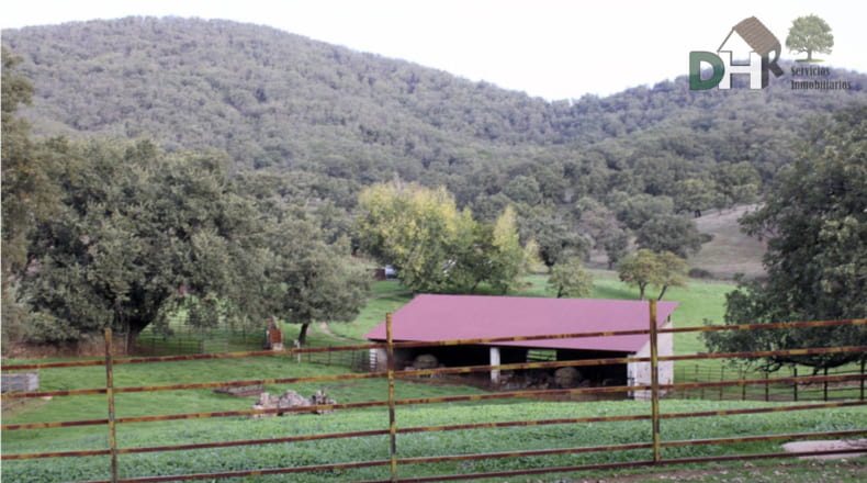 Cáceres - Cáceres - 8220000m2