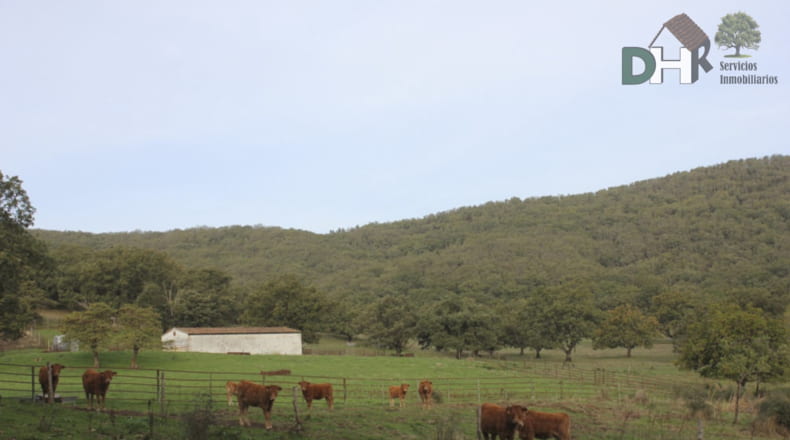 Cáceres - Cáceres - 8220000m2
