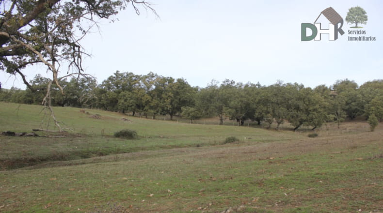 Cáceres - Cáceres - 8220000m2