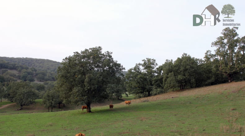 Cáceres - Cáceres - 8220000m2
