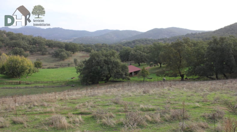 Cáceres - Cáceres - 8220000m2