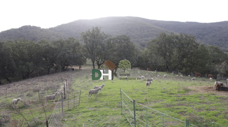 Cáceres - Cáceres - 8220000m2