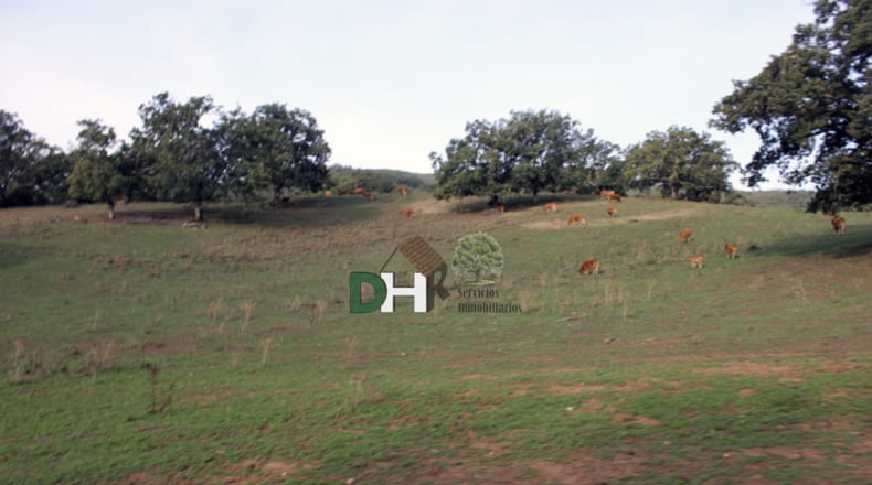 Cáceres - Cáceres - 8220000m2