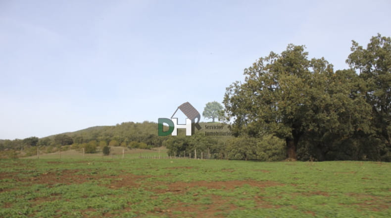 Cáceres - Cáceres - 8220000m2