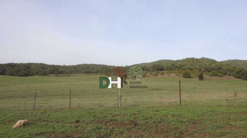 Cáceres - Cáceres - 8220000m2