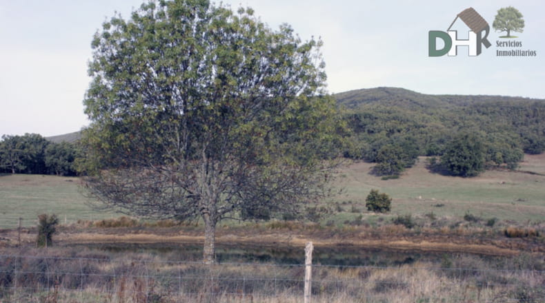 Cáceres - Cáceres - 8220000m2