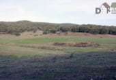 Terreno no urbanizable en venta en la Calle Ríos Verdes, Cáceres, ref: TR74444 foto